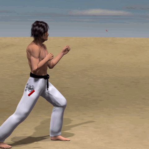 USHIRO ASHI TOBI GERI