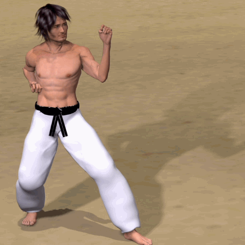 MAWASHI MAE ASHI GERI