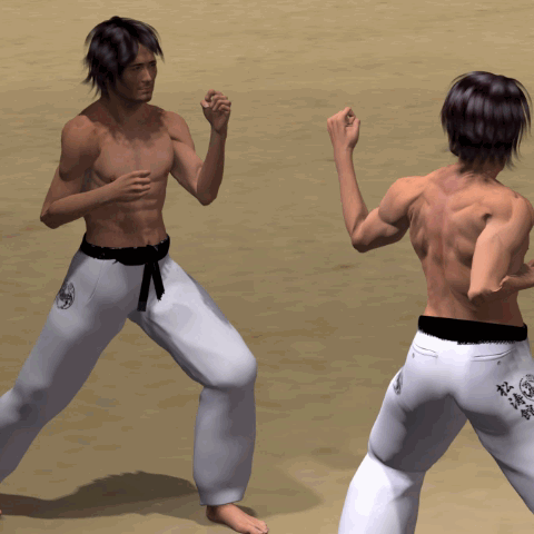  MAWASHI GERI KEKOMI