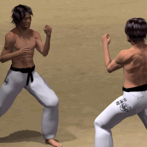 (HAISOKU GEDAN) MAWASHI GERI