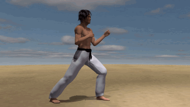 NIDAN MAWASHI GERI