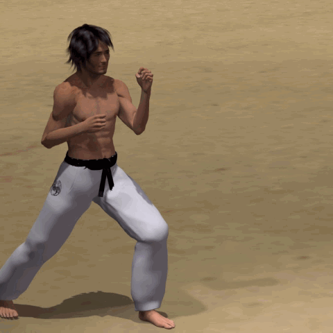 MAWASHI OTOSHI GERI
