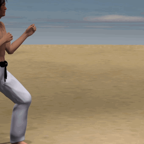 MAWASHI  TOBI GERI