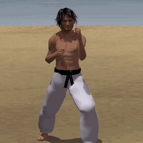 O MAWASHI GERI