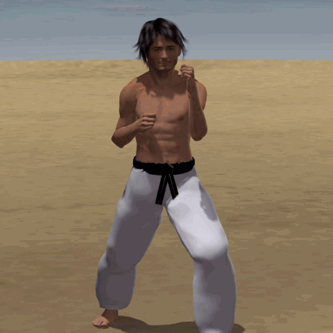 O MAWASHI GERI
