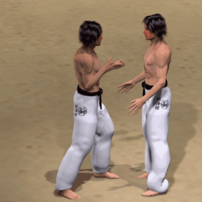 MAWASHI AGE HIZA GERI