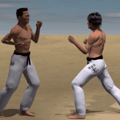 USHIRO MAWASHI GERI