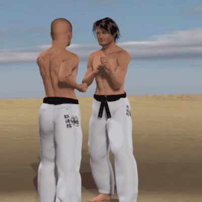 USHIRO KAKE GERI