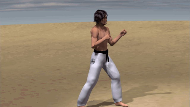 USHIRO URA MIKAZUKI GERI