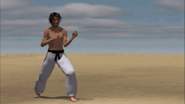 YOKO USHIRO ASHI TOBI GERI