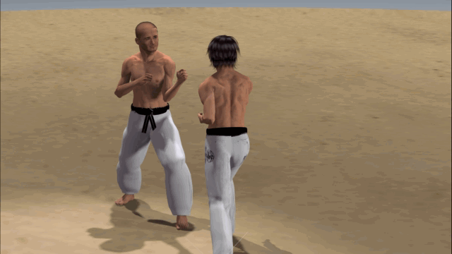 YOKO ASHI GERI