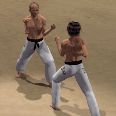 MAWASHI KAKATO GERI  