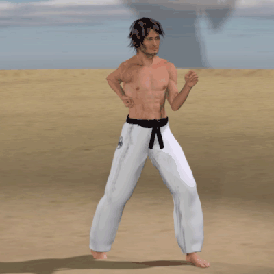 USHIRO KAKE GERI TAN
