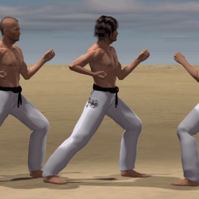 USHIRO KAKE GERI