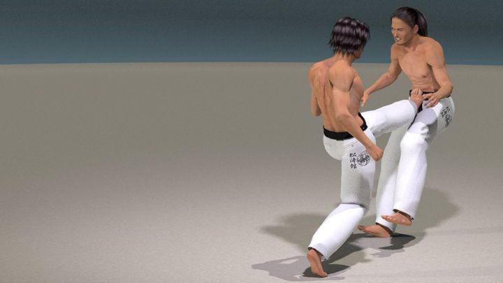 MAE ASHI GERI 