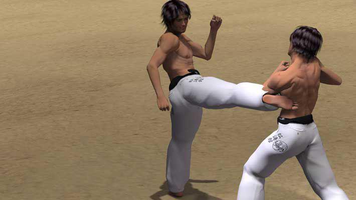 O MAWASHI GERI
