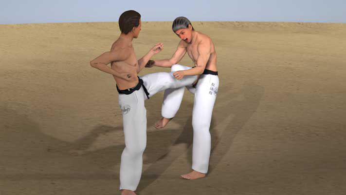 NAGASHI MAE GERI