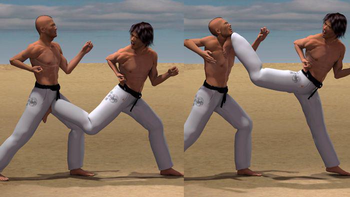 USHIRO KAKE GERI