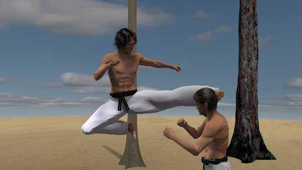 MAWASHI TOBI GERI