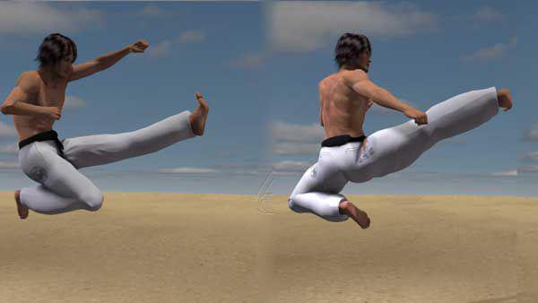 NIDAN MAWASHI GERI