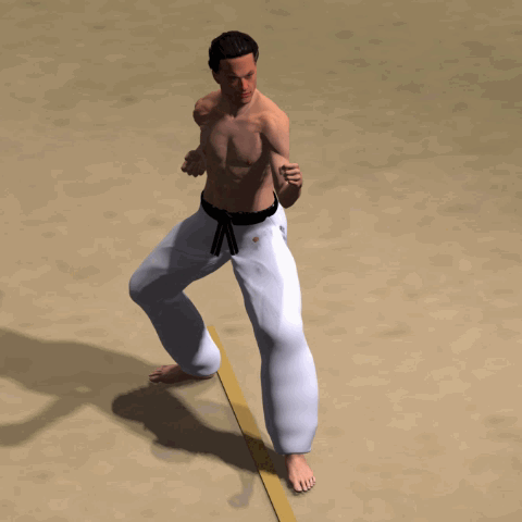 NAGASHI MAE GERI