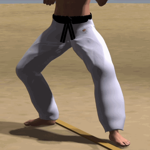 NAGASHI MAE GERI