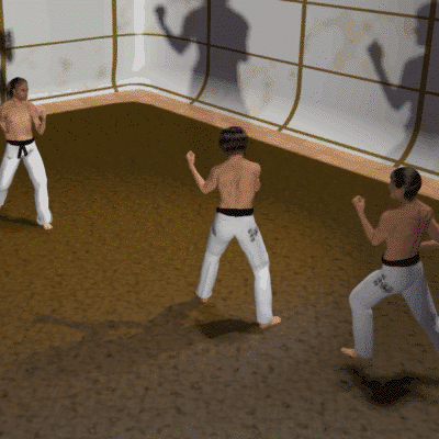 GIROS EN KARATE