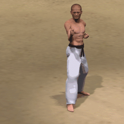 GIROS EN KARATE