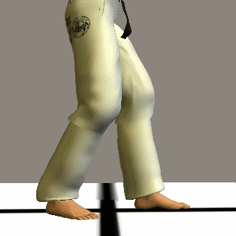 NEKO ASHI DACHI