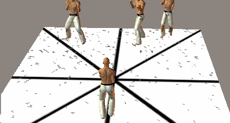 NORU ASHI CARRERA COMBATE 