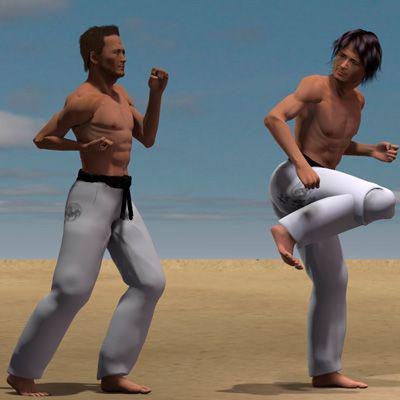 USHIRO MAWASHI GERI