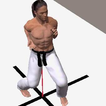 SANCHIN  DACHI