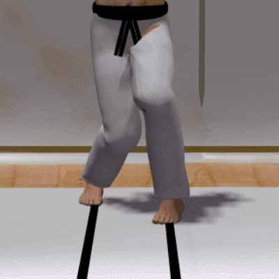 AYUMI ASHI