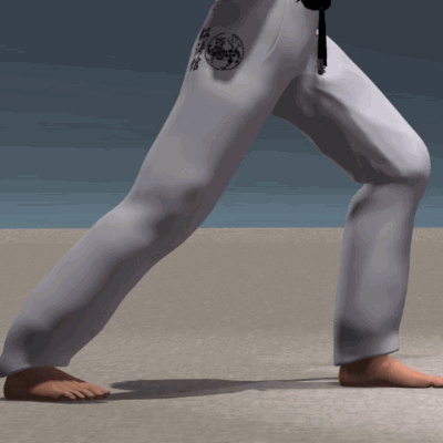 SURI KONDE MAE GERI