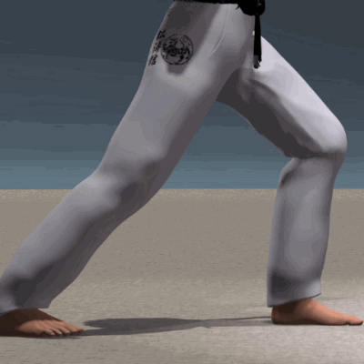 SURI KONDE MAE GERI