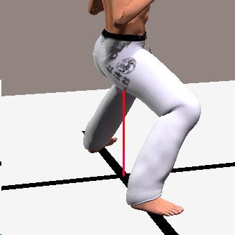 SHIKO DACHI