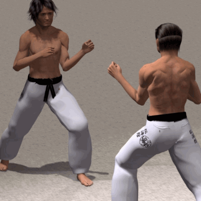 SURI KONDE MAE GERI