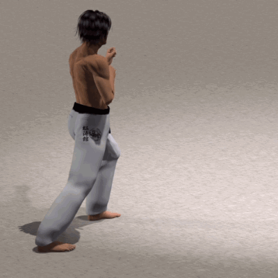 SURI KONDE MAE GERI