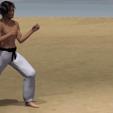 SURI KONDE MAWASHI GERI