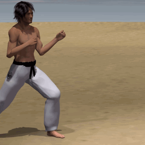 SURI KONDE MAWASHI GERI