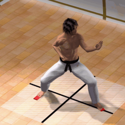 TATE SEISHAN DACHI
