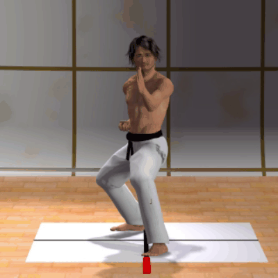 TATE SEISHAN DACHI