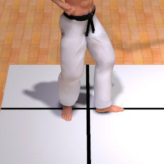 TEIJI  DACHI