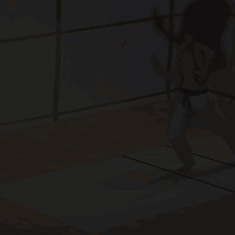 MAWASHI TOBI GERI