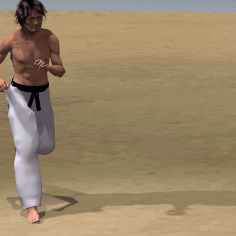 MAWASHI  TOBI GERI