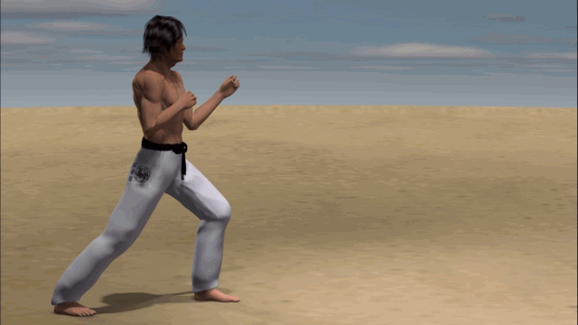 YOKO TOBI GERI