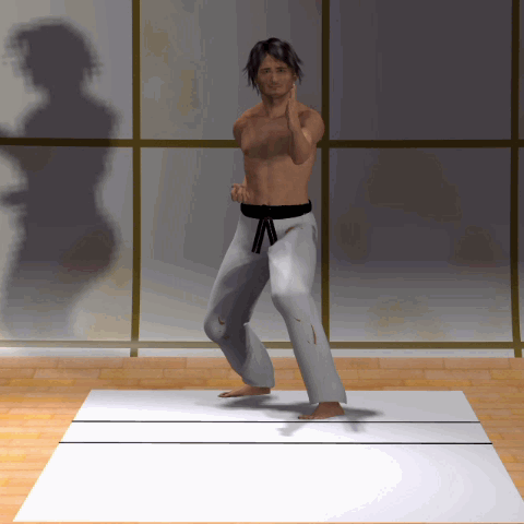 SURI KONDE MAWASHI GERI