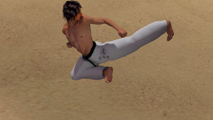 MAE ASHI USHIRO TOBI GERI