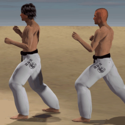 MAE GERI