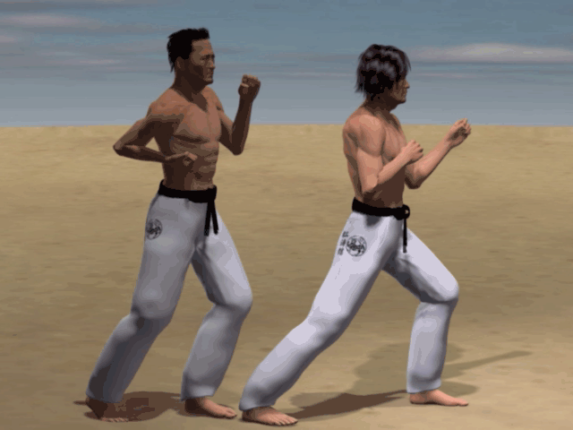 USHIRO MAWASHI TOBI GERI
